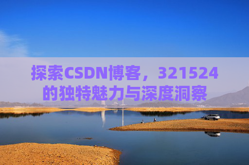 探索CSDN博客，321524的独特魅力与深度洞察